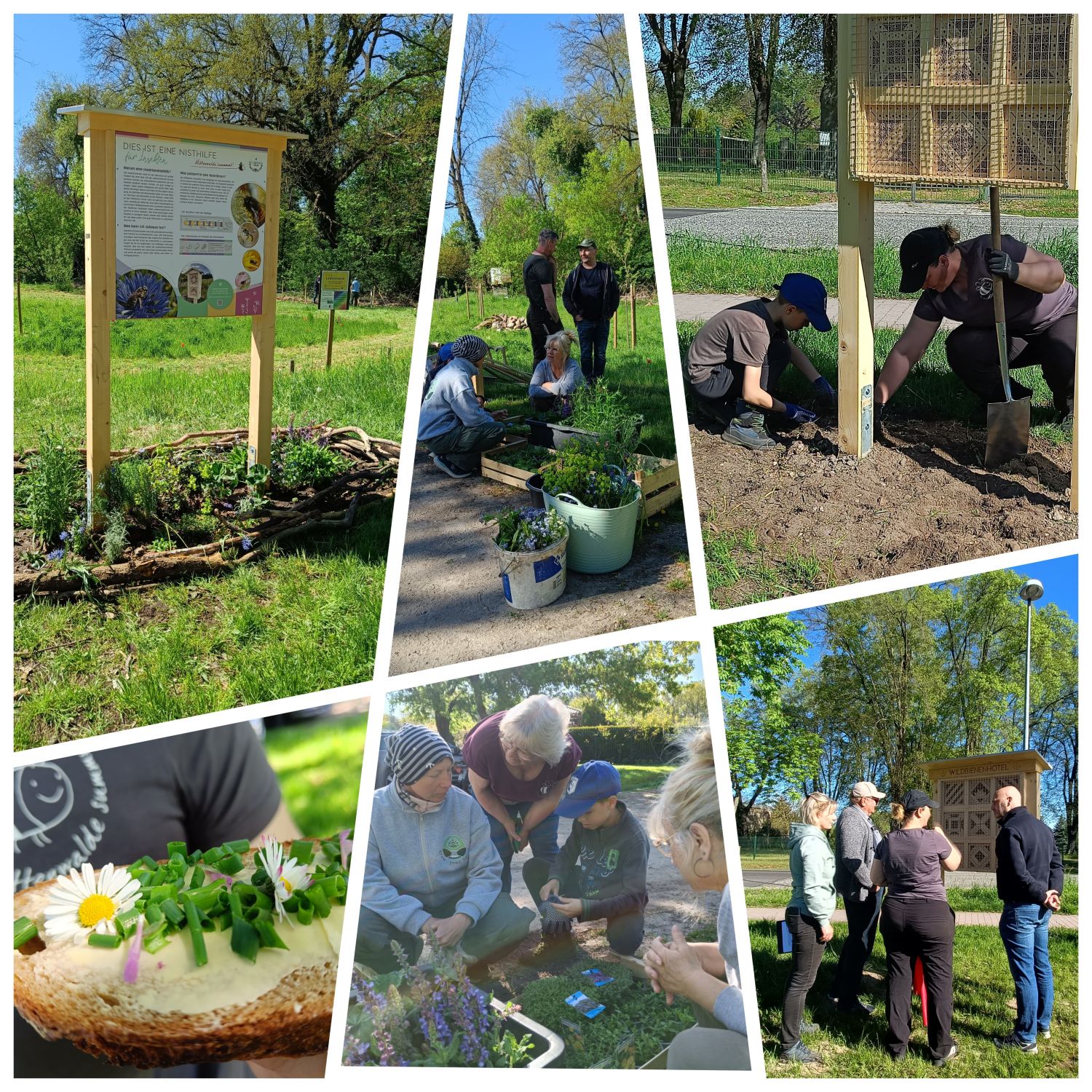 Projektfläche